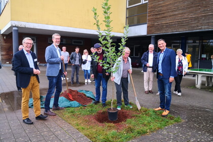 Ein Hoffnungsbaum für das Paul-Distelbarth-Gymnasium Obersulm 