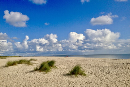 Endlich Ferien?!<br>Gedanken und Gebete