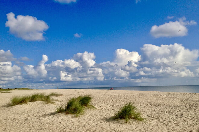 Wir wünschen Ihnen einen schönen Sommer und eine erholsame Urlaubszeit!