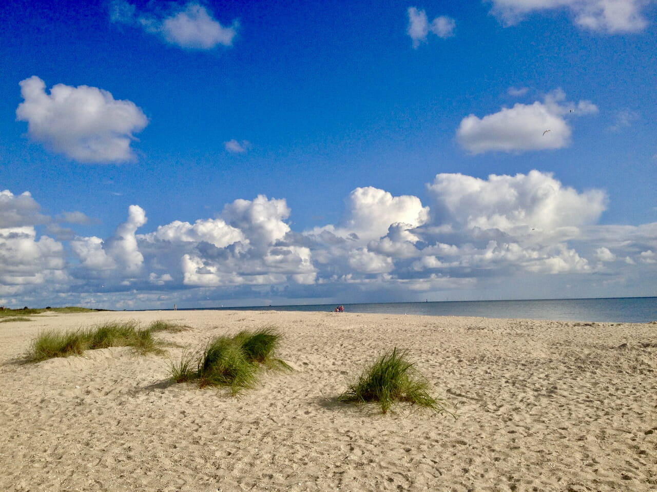 Sommer Sonne Ferien